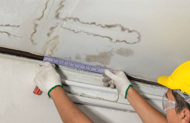 Reliable Sewage Cleanup contractor in Dunellen, NJ by Water Damage Irwin
